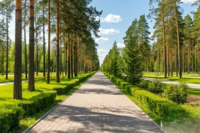 В Казани появится новое ведомство: ему передадут контроль над городскими лесами