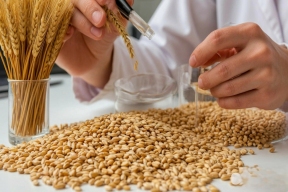 В Курской области усилили контроль за содержанием стронция-90 в продукции и окружающей среде